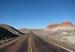 Petrified Forest National Park.