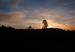 Sunrise near Flagstaff, Arizona.