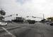 Los Angeles: welcome to the (urban) jungle.