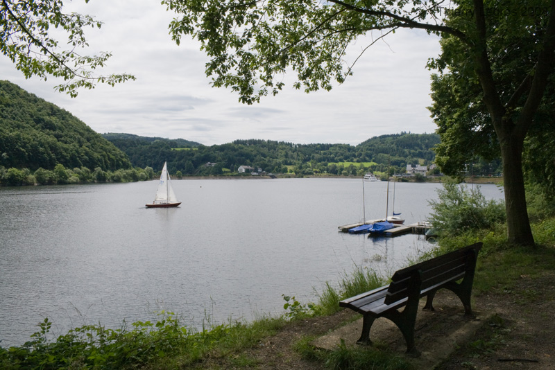 IMG_1236