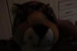 Tigrou
