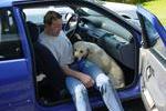 Le chien voyageur