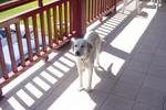 Una tequila al sol