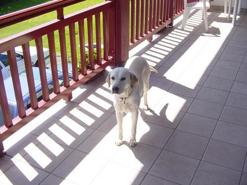 Una tequila al sol