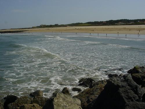 Marinela