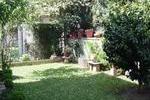 The garden