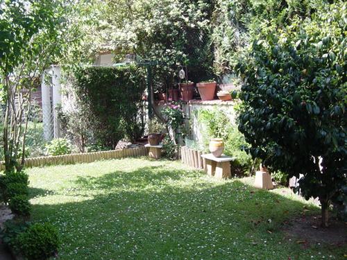 The garden
