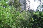 dsc00674
