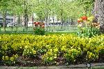 dsc00686