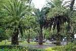 dsc00408