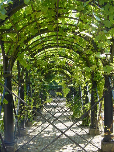 AnversLeuven 025