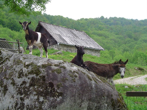 Ariege 016