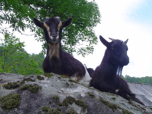 Ariege 017