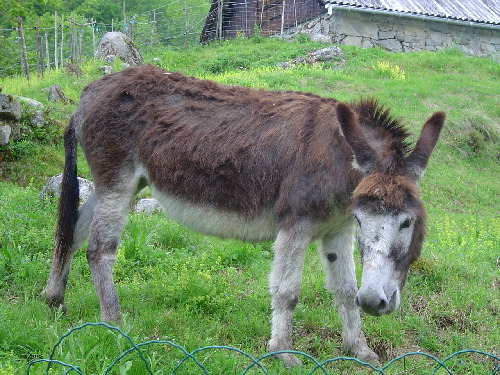 Ariege 018