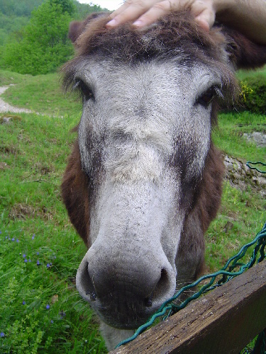 Ariege 024