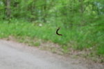 Ariege 025