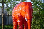 Tiens, un lphant rouge