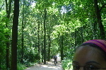 Tiergarten