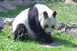 Zoo