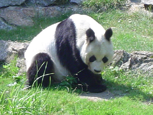 Zoo
