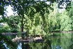Zoo