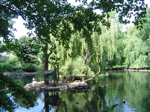 Zoo