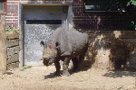 Zoo