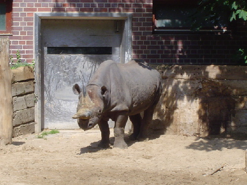 Zoo