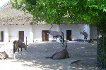 Zoo