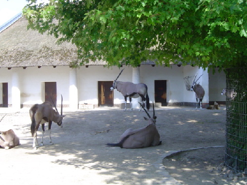 Zoo