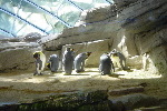 Zoo