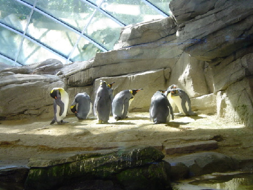Zoo