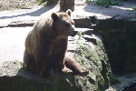 Zoo