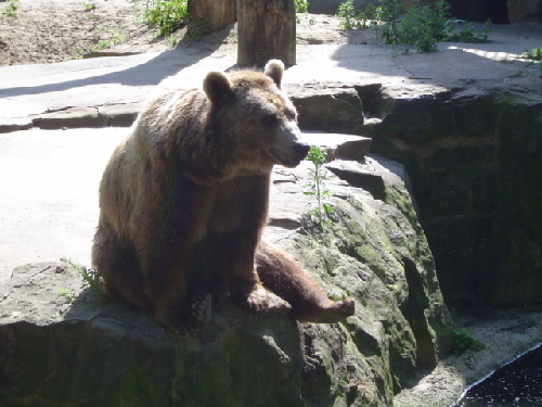Zoo