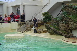 Biarritz2004 021