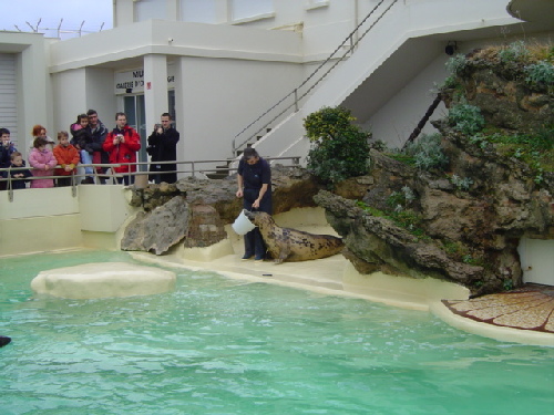 Biarritz2004 021