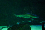 Biarritz2004 035