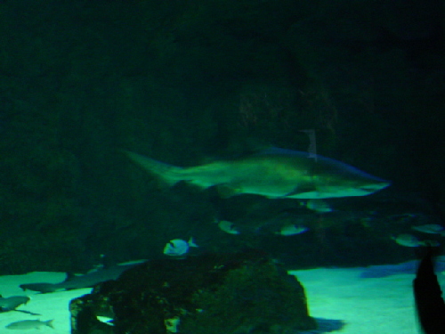 Biarritz2004 035