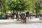 Imagen 023