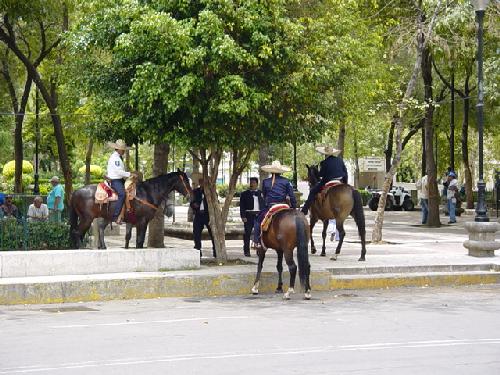 Imagen 023