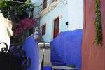 Des couleurs vives %21