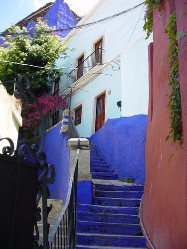 Des couleurs vives %21