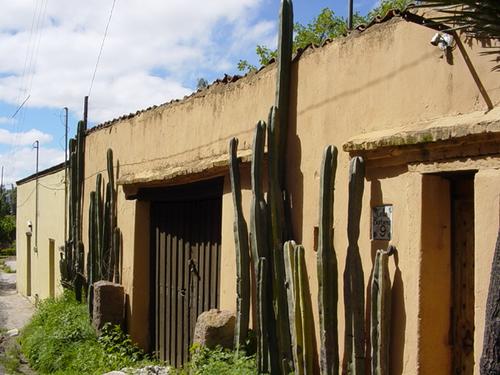 Habitat typique