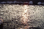 dsc04237