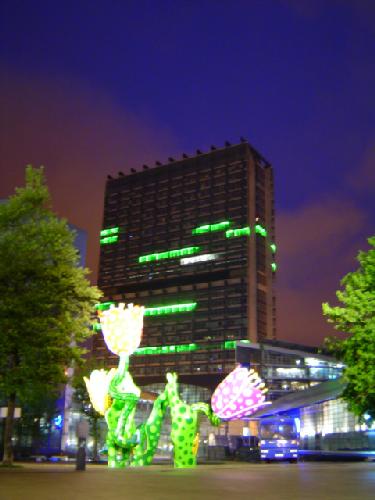 dsc00990