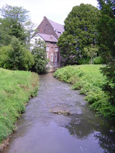 dsc01310