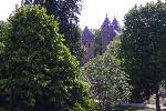 dsc01338