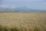 Michoacan %3a lacs et montagnes