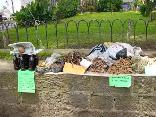 Herbes medicinales et potions magiques