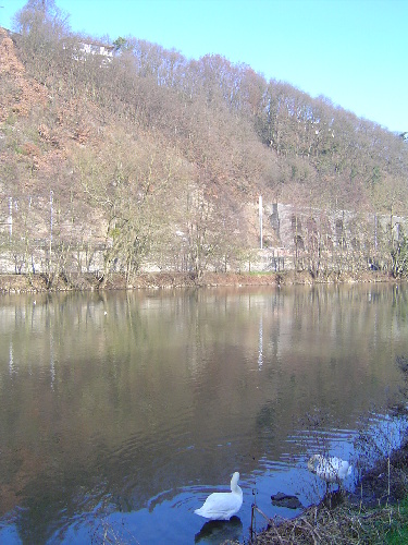 dsc02041